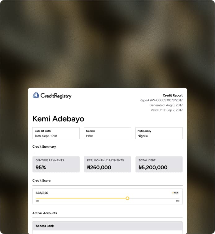 Credit history and score